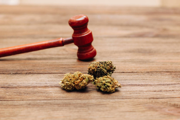 Tıbbi marihuana, yargıç tokmağı ve hukuk konsepti olan shinki bitkisi.. - Fotoğraf, Görsel