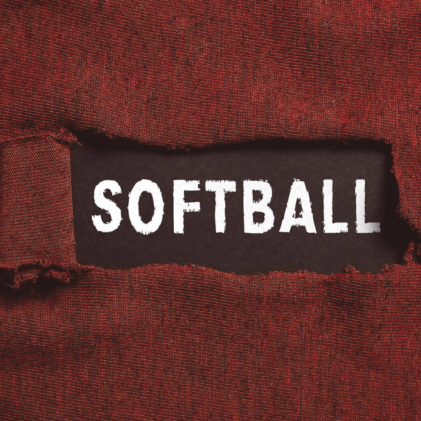 Textschild mit Softball, Konzept für eine Sportart, die dem Baseball mit Ball und Schläger ähnelt - Foto, Bild