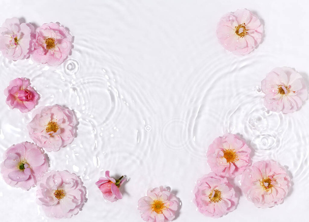 Beautiful floral arrangement in pure water - Fotoğraf, Görsel