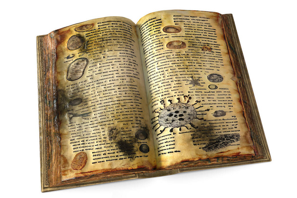 Penész régi könyvekben, konceptuális 3D illusztráció. Nyitott antik könyv fekete penész oldalain - Fotó, kép