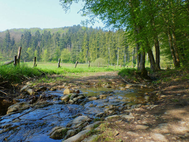 Mullerthal Trail, mei 2019: Grote wandeling in de Mullerthal Trail (of Klein Luxemburg Zwitserland) in de Luxemburgse Ardennen - Foto, afbeelding