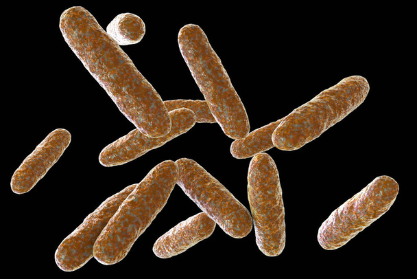 Bactéries Eikenella corrodens, illustration 3D. Eikenella est un biote normal de la cavité buccale et de l'intestin, provoque des infections après morsures humaines, ainsi que la parodontite, la méningite et d'autres maladies - Photo, image
