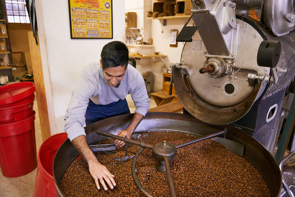 Checking his roast. a young man working with raw coffee beans - Photo, Image