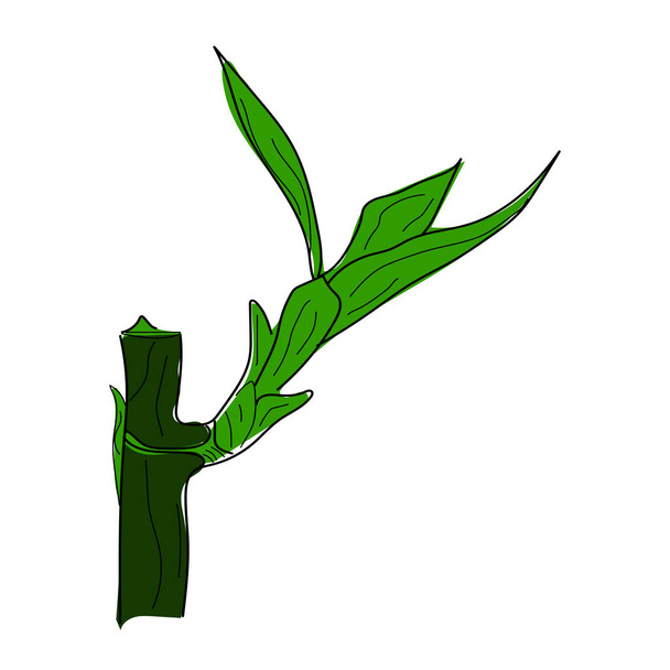 竹の植物アイコンベクトルイラスト - ベクター画像