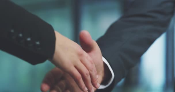 Deal, partnership and handshake for business merger gesture at corporate b2b company meeting zoom. Shaking hands, welcome or thank you for professional agreement, communication and cooperation - Footage, Video