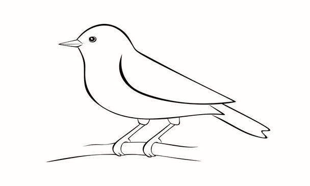 schattig vogel op een witte achtergrond vector - Vector, afbeelding