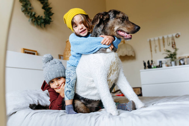 two children in warm clothes hug their dog sitting on the bed - Photo, Image