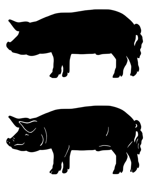 Свині
 - Вектор, зображення