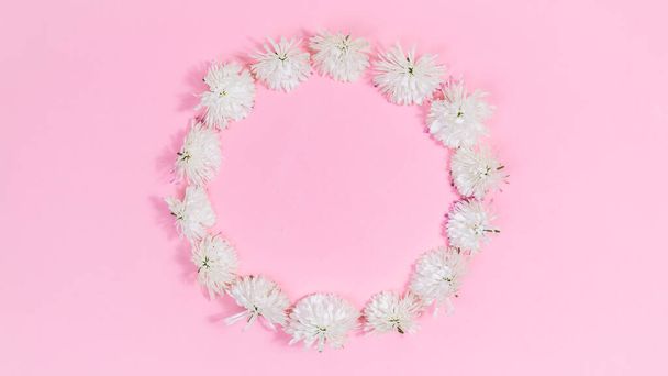 Las cabezas de flores de crisantemo blanco forman un círculo. Marco floral con espacio de copia en el centro. Tarjeta de felicitación de vacaciones. Plantilla para texto o diseño. Fondo rosa. - Foto, Imagen
