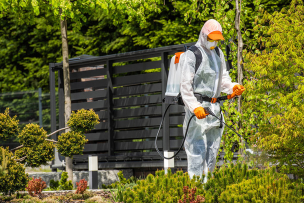 Professionele Landschapstuinier in Safety Gear Spraying Chemicals op tuinplanten tijdens de geplande ongediertebestrijding behandeling. - Foto, afbeelding