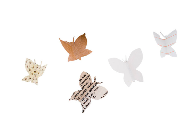 Carta tagliata icona farfalla isolata su sfondo bianco. Stile carta arte. - Foto, immagini