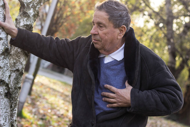 Homme âgé ayant une crise cardiaque après avoir marché au parc - Photo, image