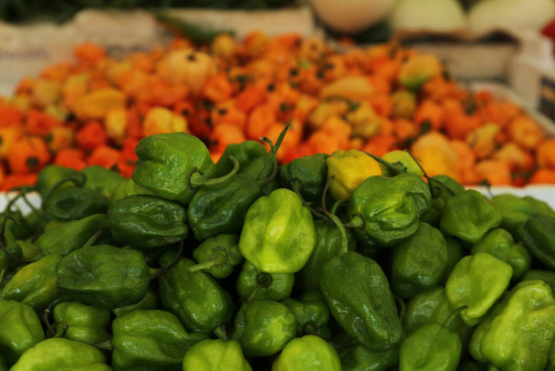 Heap of fresh Cascabel chili peppers on counter at market, closeup - 写真・画像