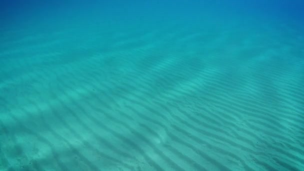Vista submarina de la arena ondulada en el fondo del océano - Imágenes, Vídeo