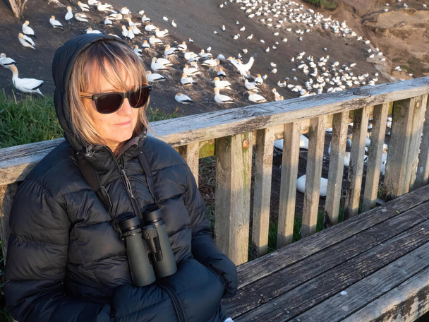 Eine Vogelbeobachterin sitzt auf einer Bank, dahinter ist eine Basstölpelkolonie zu sehen. Sie hat ein Fernglas um den Hals und lächelt zufrieden.. - Foto, Bild