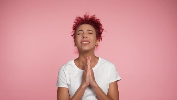 Portré afro-amerikai vörös hajú göndör nő tartja kezét összehajtva az imádságban, könyörgött Istennek valamiért, kívánva valamit. Nő visel fehér póló álló elszigetelt rózsaszín háttér másolási hely - Felvétel, videó