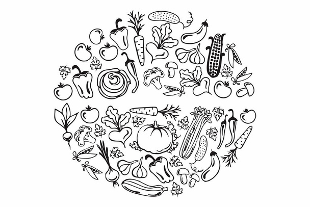 All vegetables vector forming a circle is great for product logo designs, this vector is black so it's easy to see. - Vecteur, image