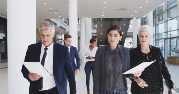 Lawyers, office building and legal team walking in a law firm with report documents or financial paperwork. Leader, attorney or senior lawyers talking or speaking of solution in global company lobby. - Footage, Video