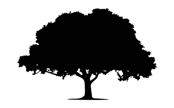 Single big Oak tree and leaves silhouette vector, isolated on white background, nature environment concept, fill with black color tree icon, oak symbol idea, side view, copy space - Vetor, Imagem