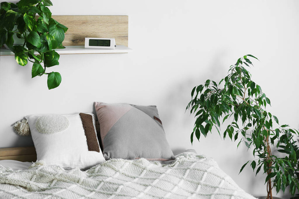 Soft bed with pillows and houseplants in cozy room. Interior design - Zdjęcie, obraz