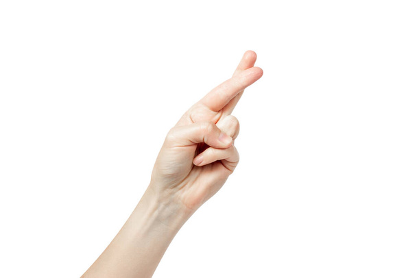 Zkřížené prsty - gesto ruky. Zkřížené prsty izolované na bílém. Kvalitní fotografie - Fotografie, Obrázek
