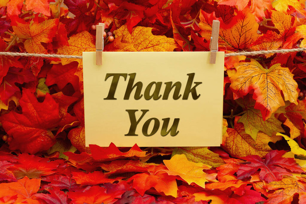 Gracias tarjeta de felicitación con hojas de otoño colgando de una cuerda - Foto, imagen