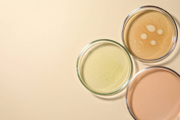 Petri dishes with color liquids on beige background, flat lay. Space for text - Photo, image