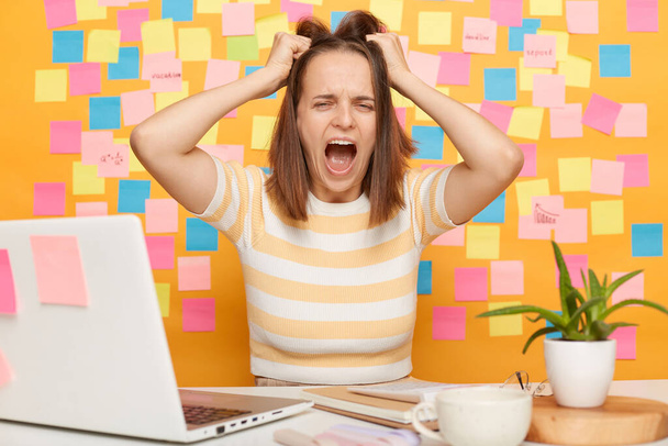 Sad upset woman sitting in office in front of notebook, screaming loud and pulls her hair, broke her computer or having problems with internet connection, posing against yellow wall with memo cards. - Foto, imagen