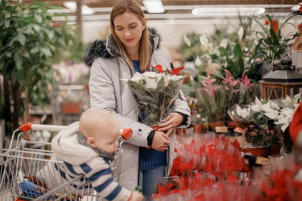 Mujer con hijo mirando flores de Euphorbia pulcherrima. Madre joven con un niño en un carrito de compras en el supermercado comprando poinsettia. Pareja compra planta de poinsettia. - Foto, imagen