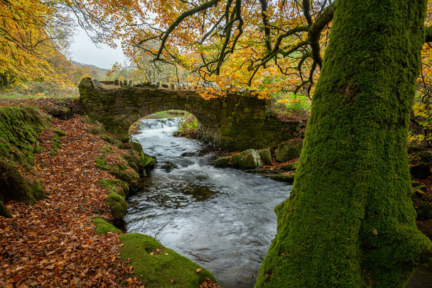El río Weir Water fluye bajo el puente de los ladrones en el Parque Nacional Exmoor en otoño - Foto, imagen