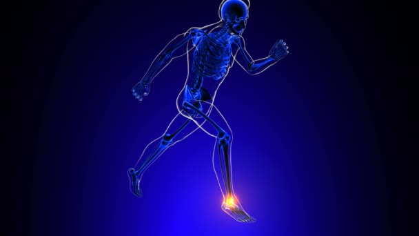 Anatomia da dor nas articulações do tornozelo para o conceito médico Animação 3D - Filmagem, Vídeo