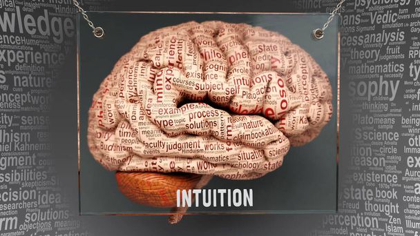 Intuição no cérebro humano - dezenas de termos importantes que descrevem propriedades e características da intuição pintadas sobre o córtex cerebral para simbolizar a conexão da intuição com a mente. - Foto, Imagem
