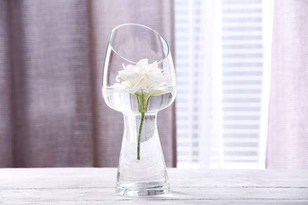 Beautiful white flower in vase with light from window - Фото, зображення