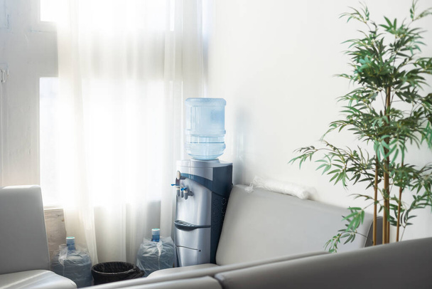 Wasserspender und Grünpflanzen im Wartezimmer des Arztes. Möbel, minimalistische Dekorationskonzepte - Foto, Bild