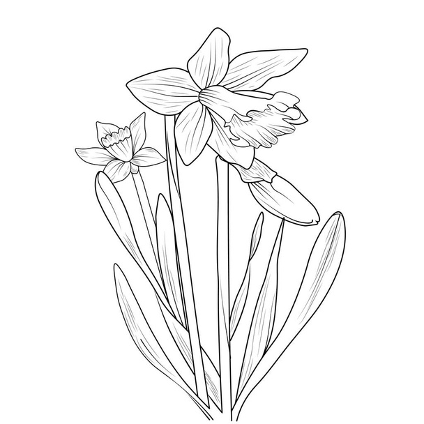 Fleur de jonquille illustration vectorielle en noir et blanc avec dessin de fleurs. beau fond botanique, dessin à la main croquis art coloriage gravé, illustration d'art à l'encre.  - Vecteur, image