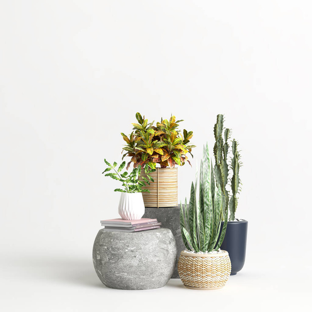 Illustrazione 3d di una pianta in vaso isolata su sfondo bianco - Foto, immagini