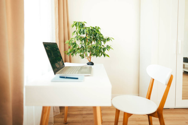 Empty modern home office interior with white furniture, laptop and green home plant ficus. Workplace for remote working or e-learning and online training. Selective focus - Foto, Bild