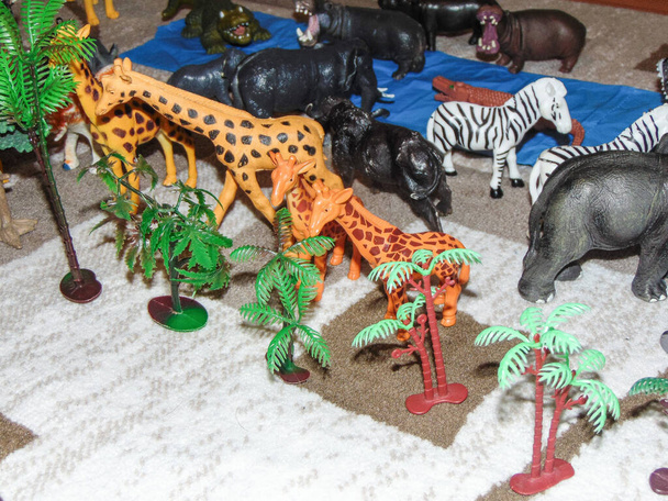 Animales de juguete africanos colocados en la alfombra por un niño - Foto, Imagen