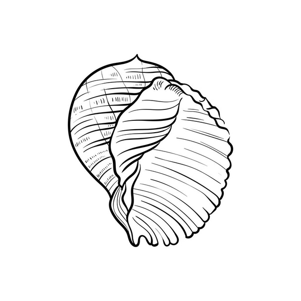 Ocean and Sea, illustration de Botanica. Encre noire, ligne, style doodle.  - Vecteur, image