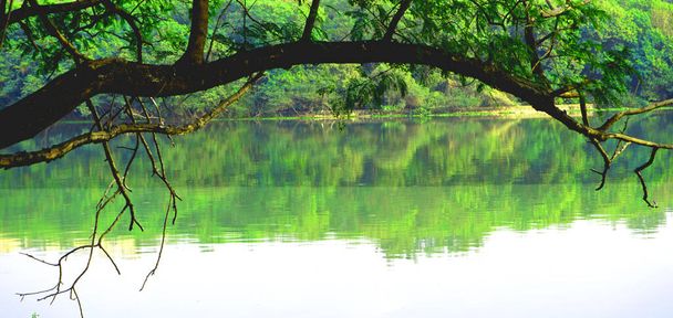 Вид на озеро в зоологическом парке Раджив Ганди в Пуне. - Фото, изображение