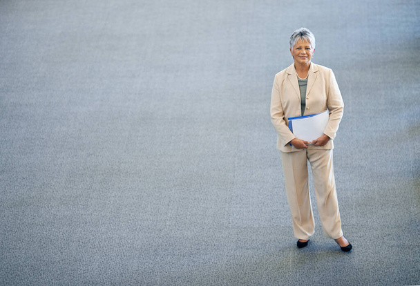 Making business look simple. High angle portrait of a mature businesswoman - Photo, Image