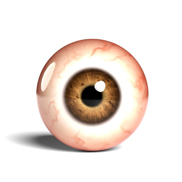 Vista frontal do globo ocular humano realista isolado no fundo wihte, renderização 3D. - Foto, Imagem