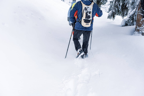 Achteraanzicht van de mens reiziger met een rugzak door de sneeuw - Foto, afbeelding