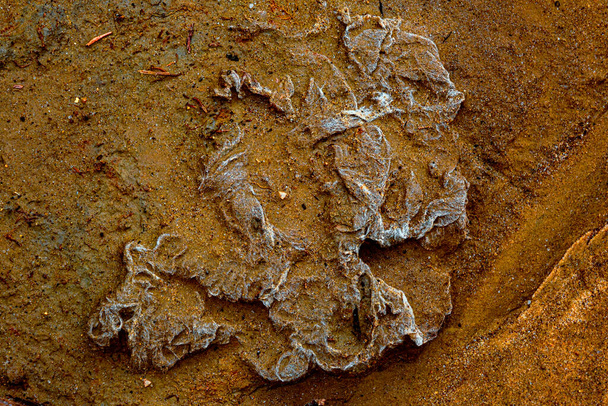 Fischernetz im Sand vergraben - Foto, Bild