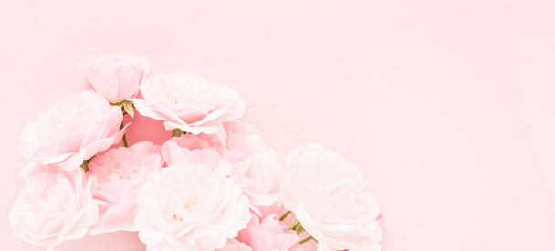 Куча розовых роз на розовом фоне. День матери, День Святого Валентина, День рождения концепции празднования. Поздравительная открытка. Пространство для копирования текста, плоская кладка - Фото, изображение