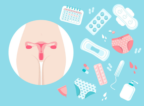 Menstruationszyklus Reihe von Objekten isoliert auf weißem Hintergrund. weiblicher Körper mit Gebärmutter, Höschen, Hormontabletten zur Geburtenkontrolle, Menstruationstasse, Tampon, Einlagen, Kalender - Vektor, Bild