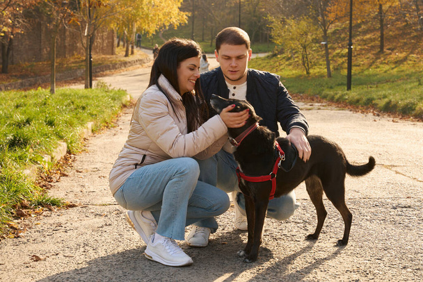 Cheerful couple with their dog for a walk in the autumn park, around the enchanting nature - Foto, Imagem