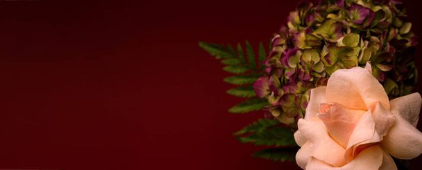 Kaunis Hydrangea Kukka vaaleanpunainen ruusu lähikuva tumma alhainen punaista taustaa vasten Kopioi tilaa teksti. - Valokuva, kuva