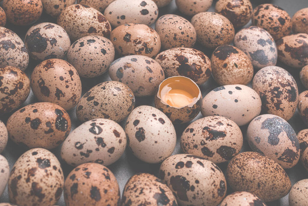 Ομάδα αυγών ορτυκιού ως φόντο. Ωμά αυγά. - Φωτογραφία, εικόνα
