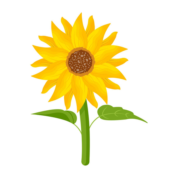 sunflower icon in cartoon style isolated vector illustration - Vetor, Imagem